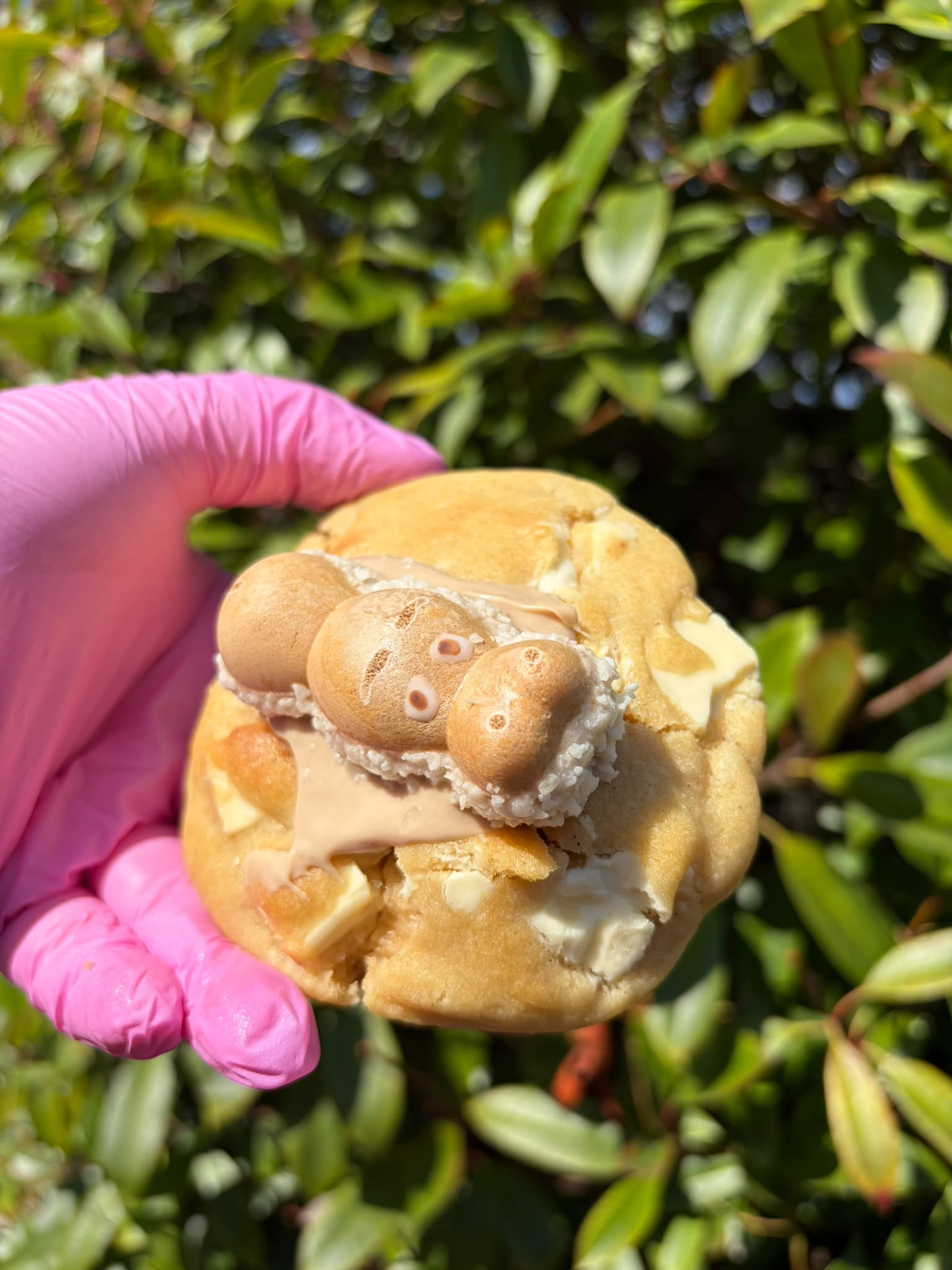 White chocolate cookie topped with a Freddo caramel bar