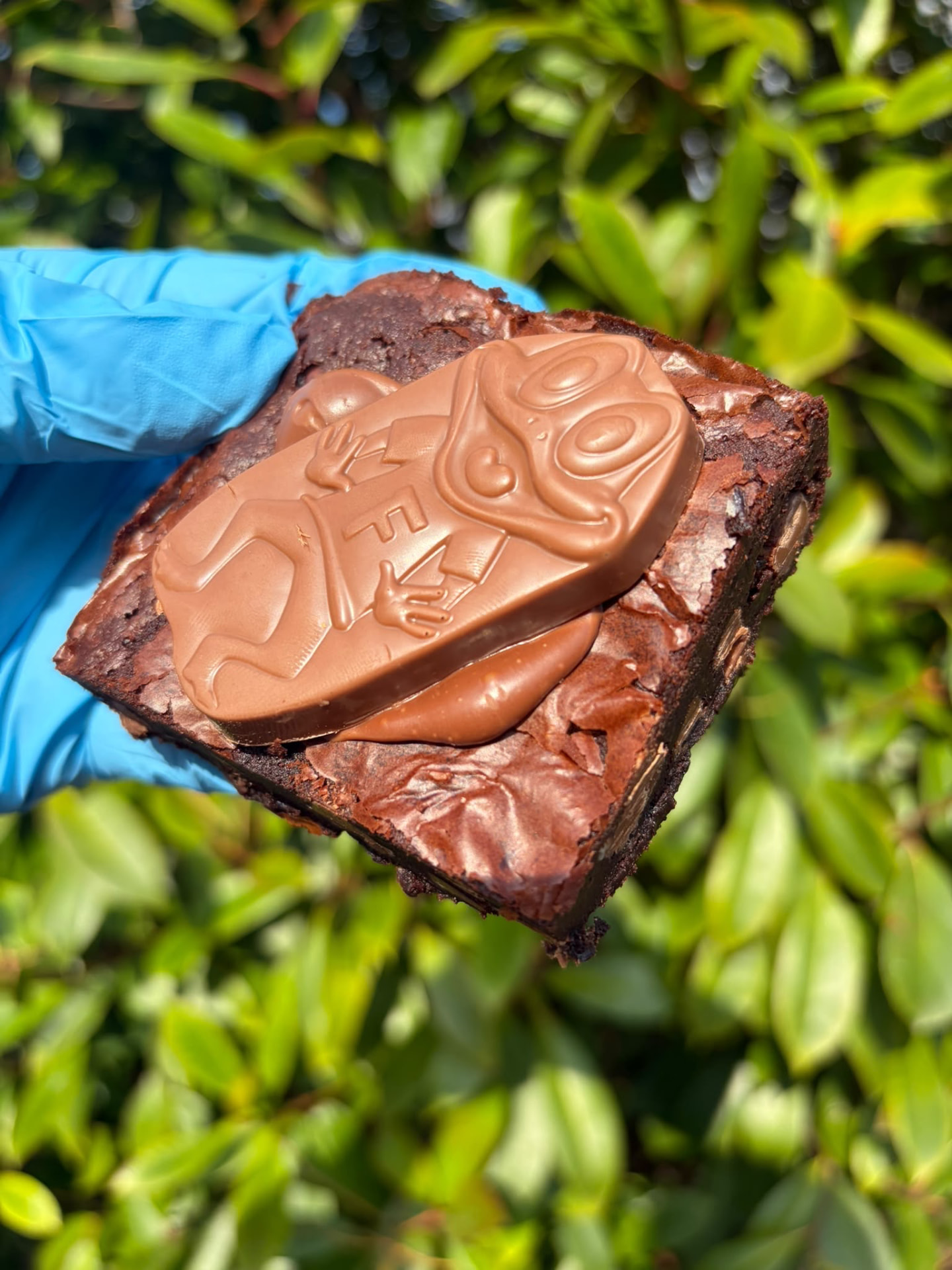 Fudgy chocolate brownies topped with Freddo bars and KitKat chunks