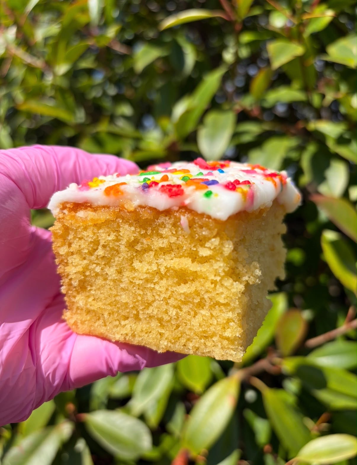 Sprinkle-topped cake slice from the Cake Shed